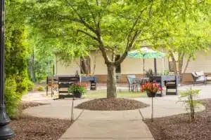 The courtyard with a large tree at Park Meadows