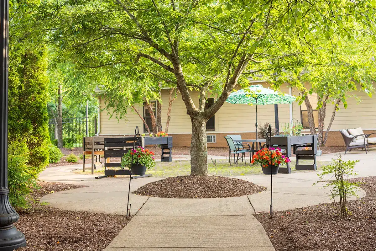 The courtyard with a large tree at Park Meadows